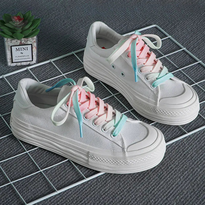 1 pair 140cm color-graded sneaker/samba shoelaces