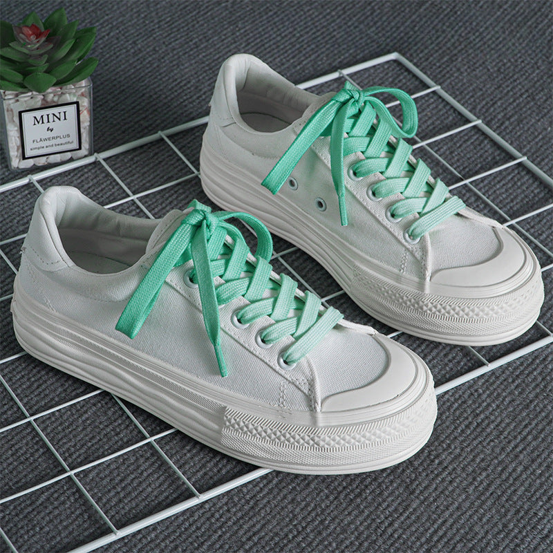 1 pair 140cm color-graded sneaker/samba shoelaces